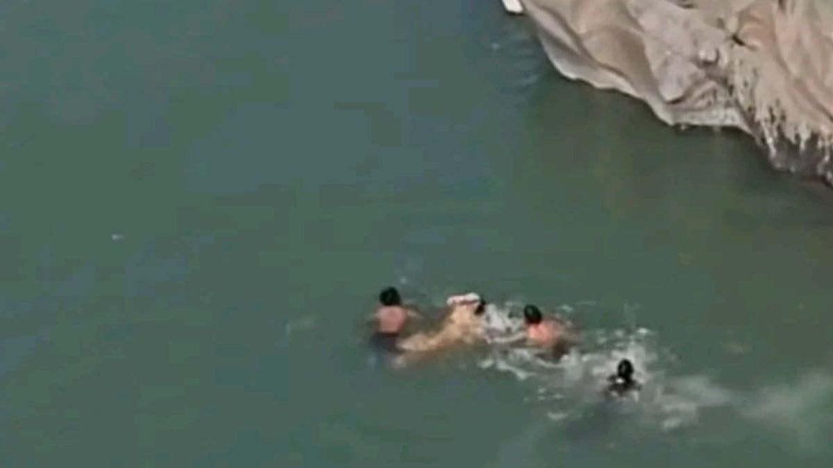 himachal pradesh shimla girl fell into sutlej river during making reel