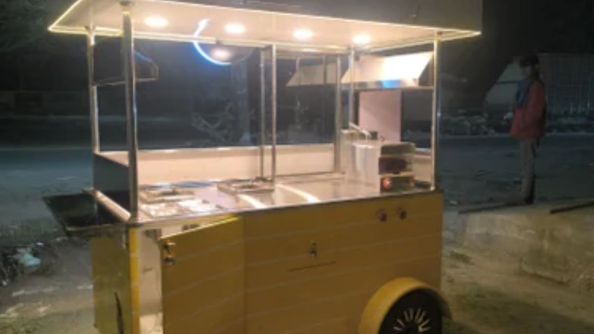 delhi mini food cart plan local jobs food access