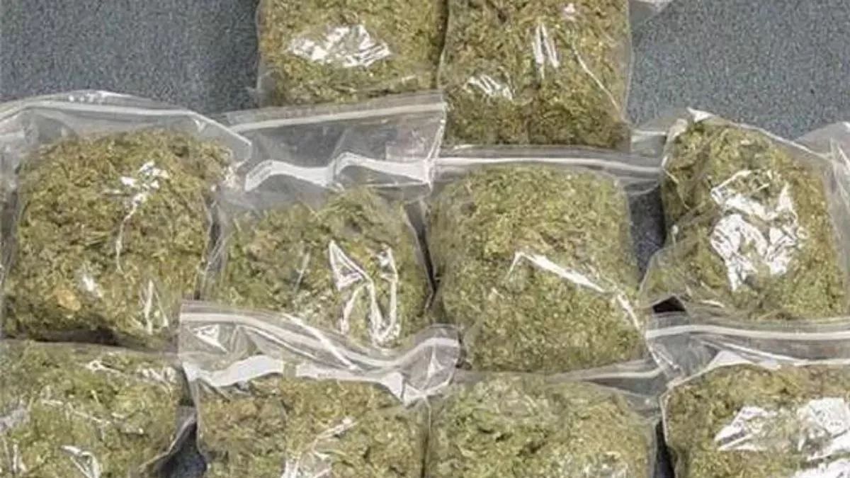 smuggler arrested with one kg of ganja in jammu