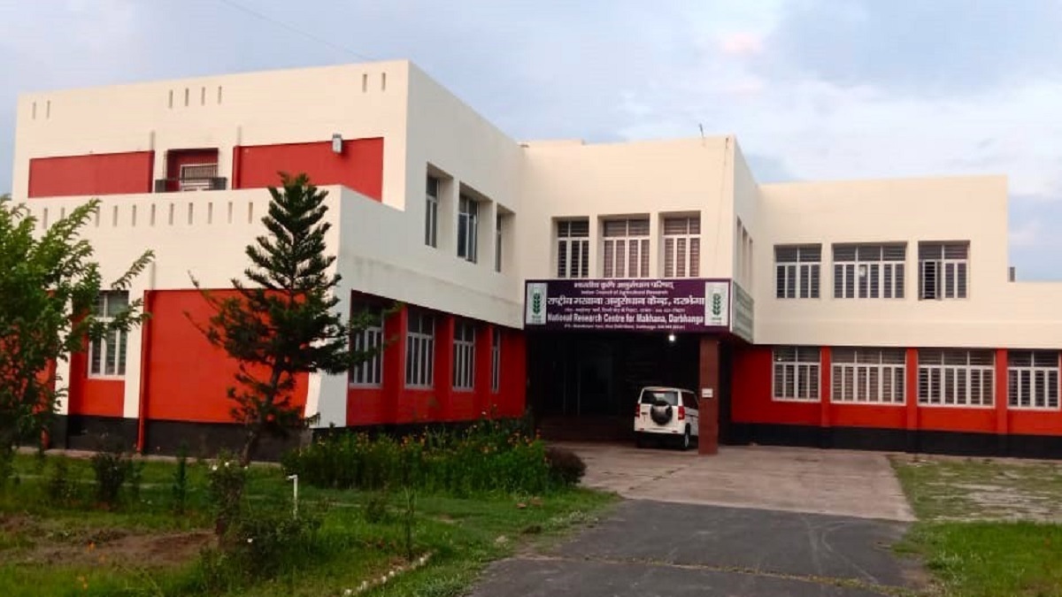 mithila makhana gave bihar a new identity on the global stage