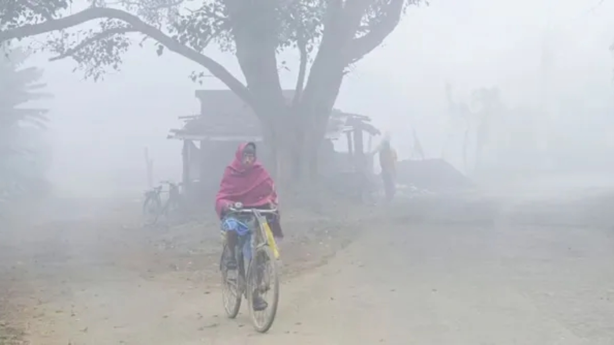 bihar cold wave minimum temperature drops sharply in this district