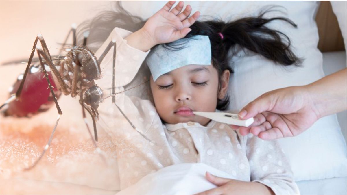 dengue fever in sitapur class one student died in lucknow many affected from dengue