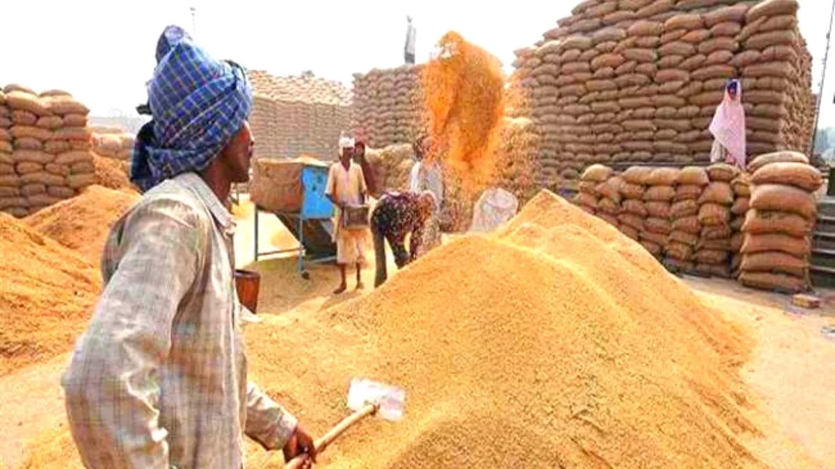 buxar farmers await relief paddy procurement new government support
