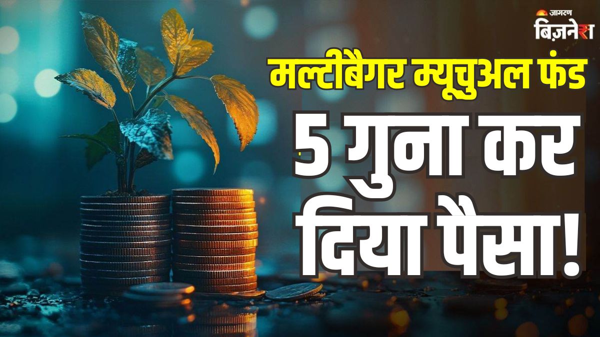 mirae asset multibagger mutual fund returns 5x growth in 3 years