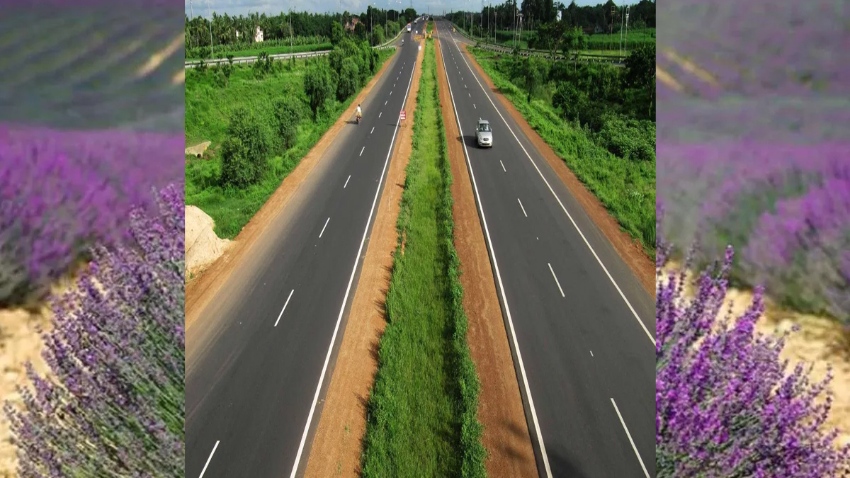 jammusrinagar highway to become purple highway with lavender cultivation