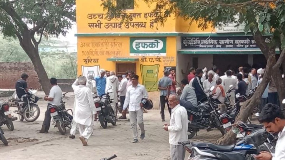 dap fertilizer shortage jevar farmers face black marketing issues