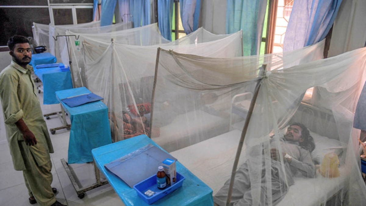 pakistan dengue outbreak over 6000 cases in november pma blames government