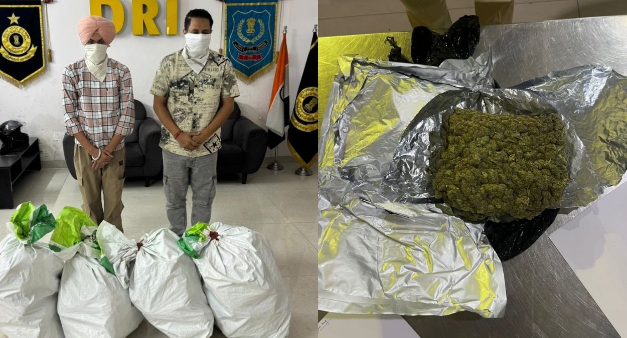 dri seizes 47 crore cannabis at amritsar airport