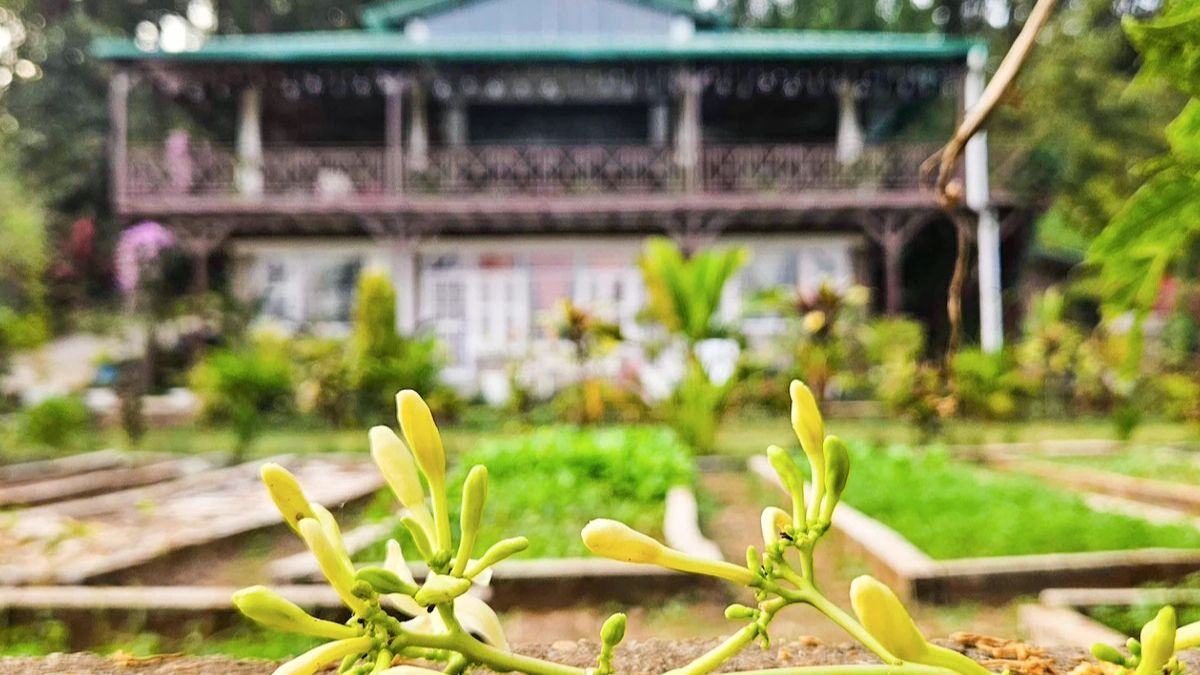 a confluence of tourism and belonging moradabad begins homestay culture providing new employment opportunities to families