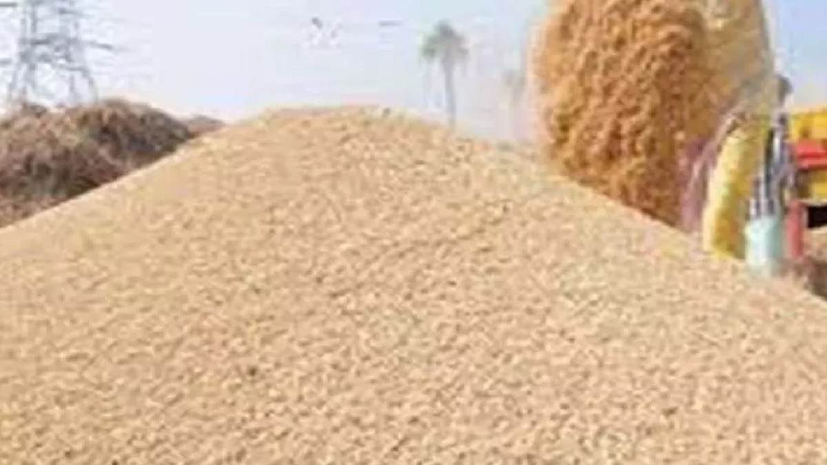 procurement of paddy at government support price begins in darbhanga district