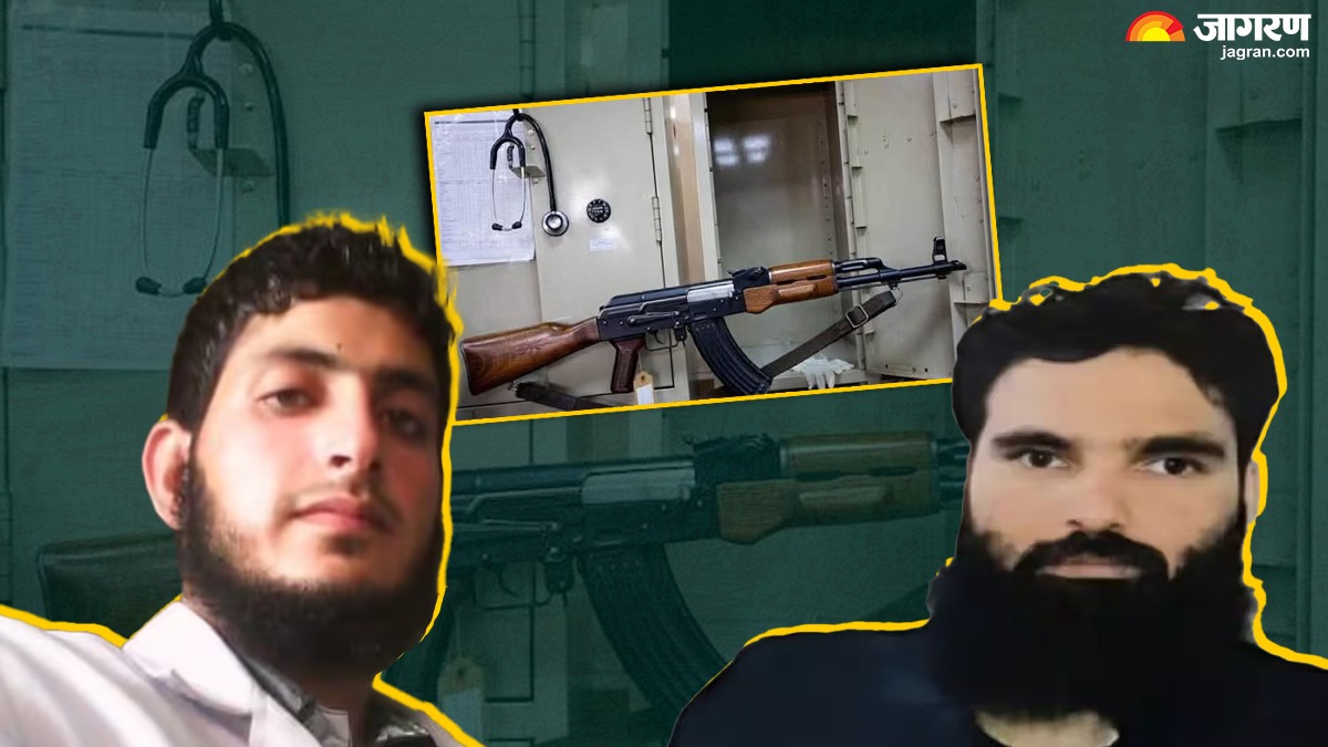 white collar terrorists 2900 kilograms of explosives 20 timers rifle what was the terrorists plan inside story