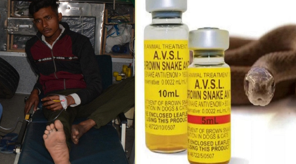 snake bite causes loss of voice rare medical case