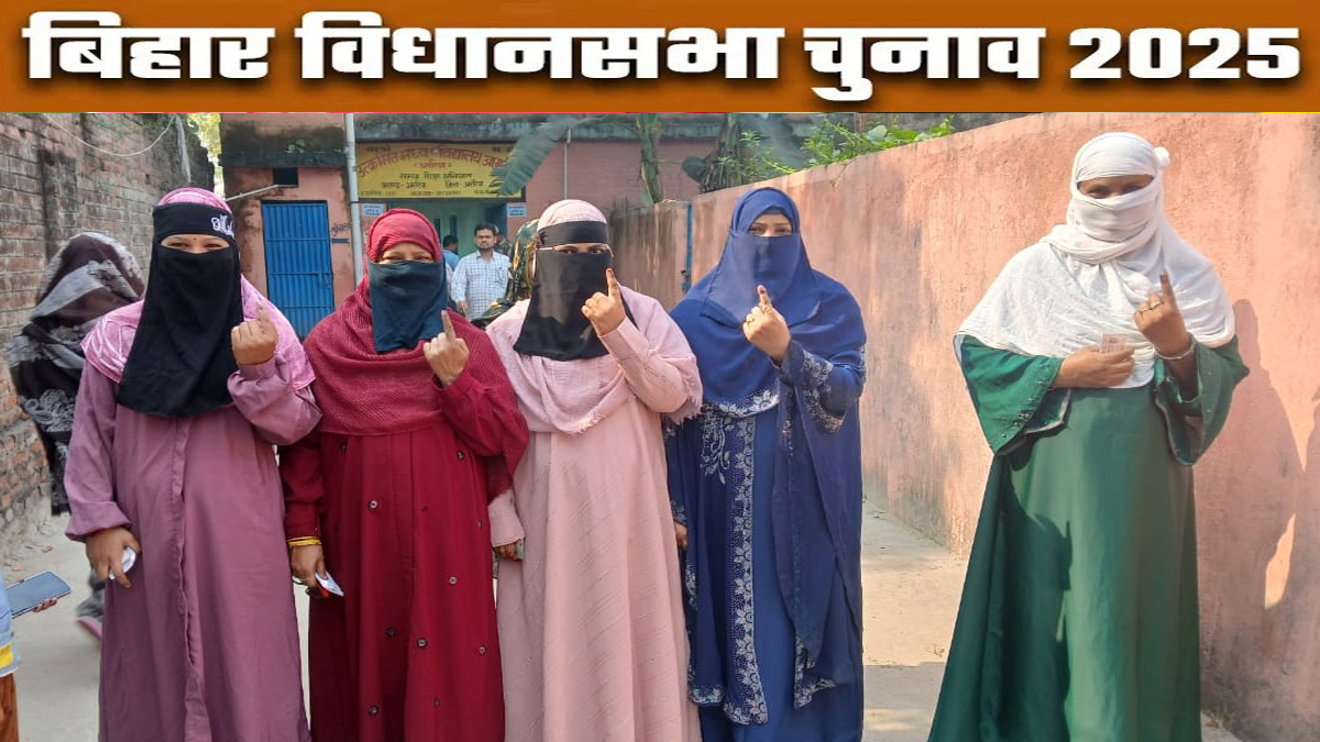 bihar election 2025 voting what is voter turnout of araria narpatganj raniganj forbesganj jokihat and sikti for bihar vidhan sabha chunav 2025 phase 2 voting latest news