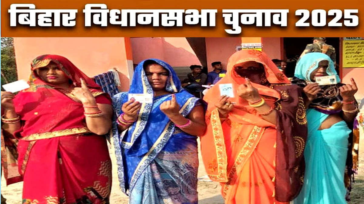 bihar election 2025 voting what is voter turnout of banka amarpur katoria belhar and dhauraiya for bihar vidhan sabha chunav 2025 phase 2 voting latest news