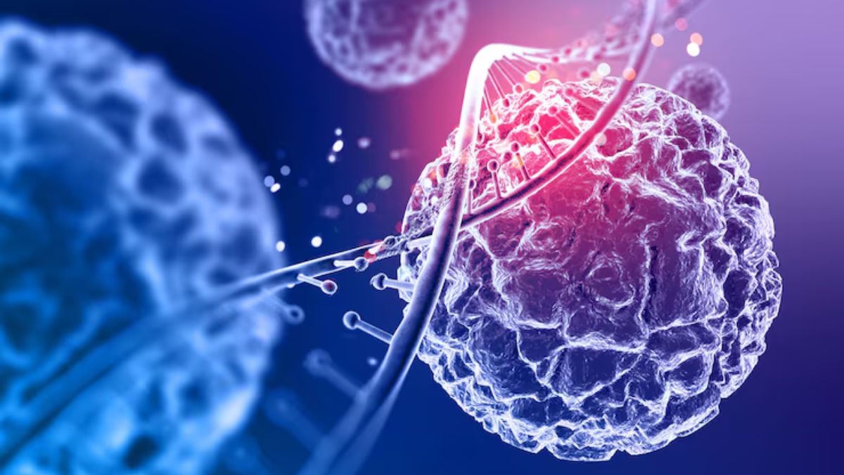 cancer treatment can now be achieved by hacking bacteria check details here