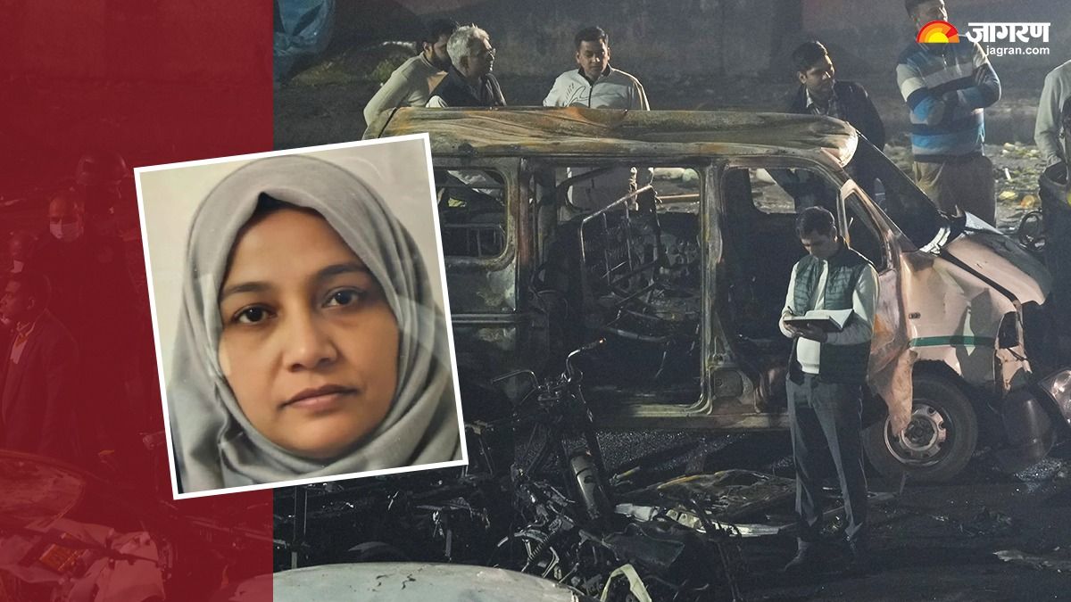 doctors and terrorism educated professionals embracing extremism