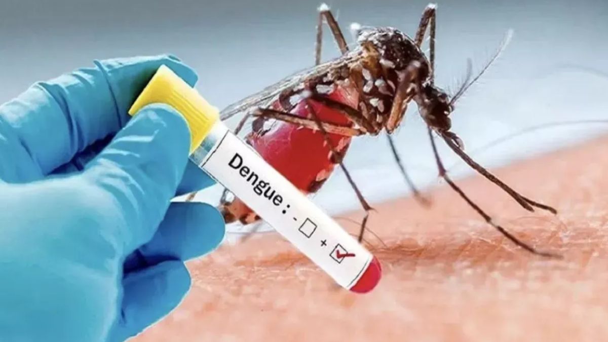 dengue cases rise in ghaziabad 2 new cases reported