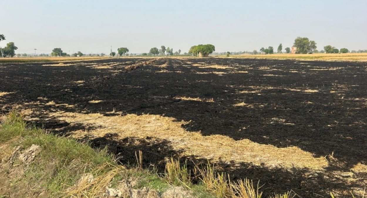 muktsar farmers fined 115 lakh for burning stubble 234 cases registered
