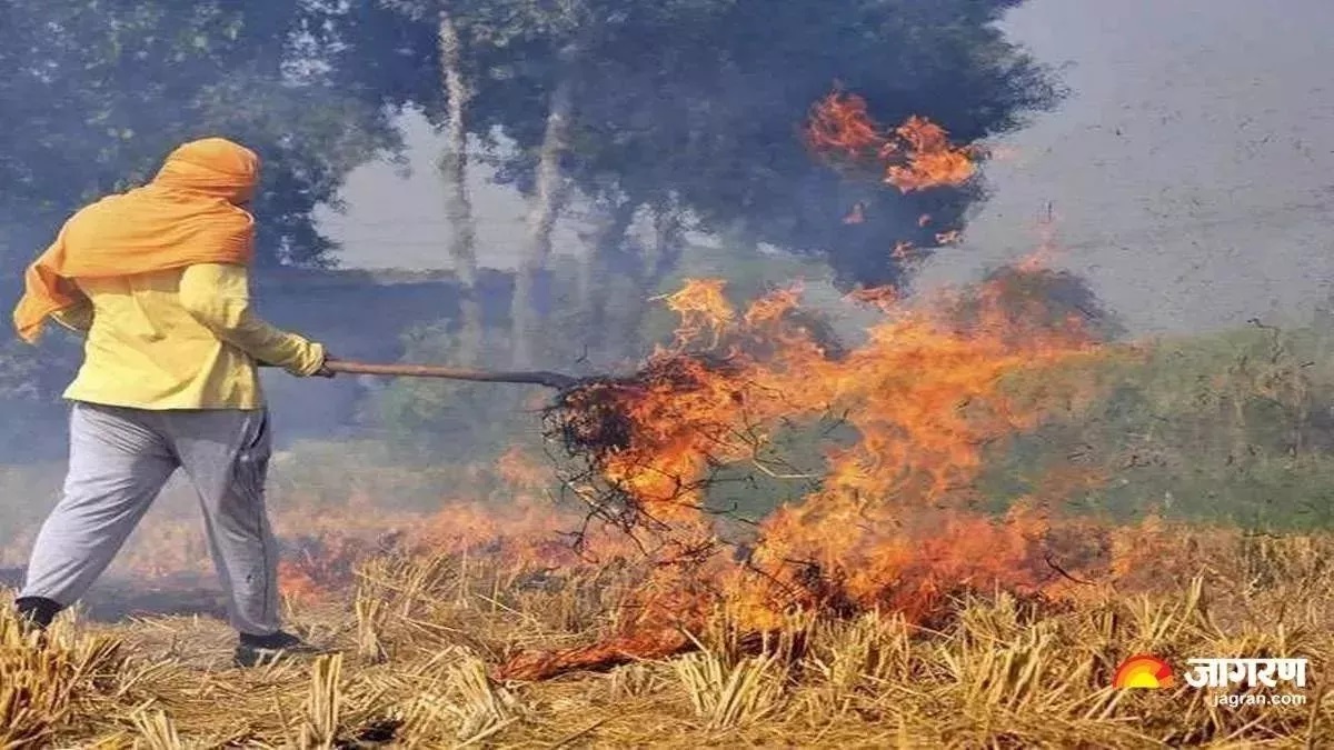 stop air pollution farmers get cow manure for stubble in agra