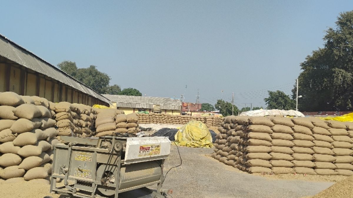 paddy procurement stalled in mandi farmers worried due to shortage of frk procurement stopped for three days