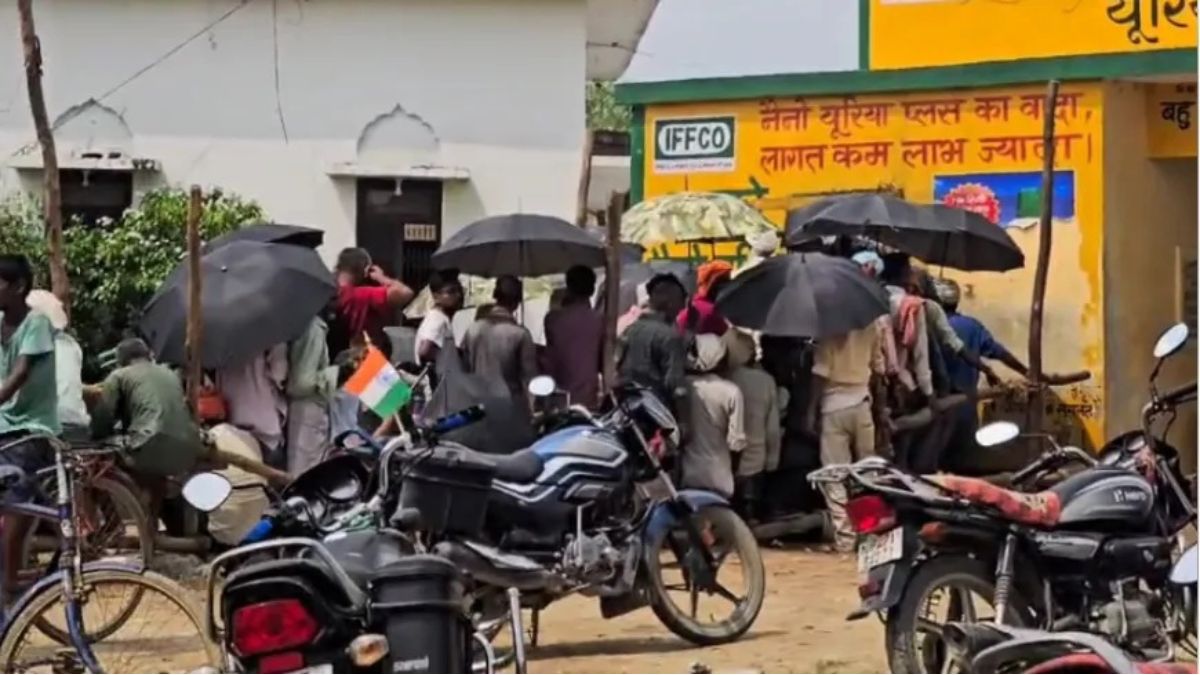 fertilizer availability farmers struggle despite claims of abundance