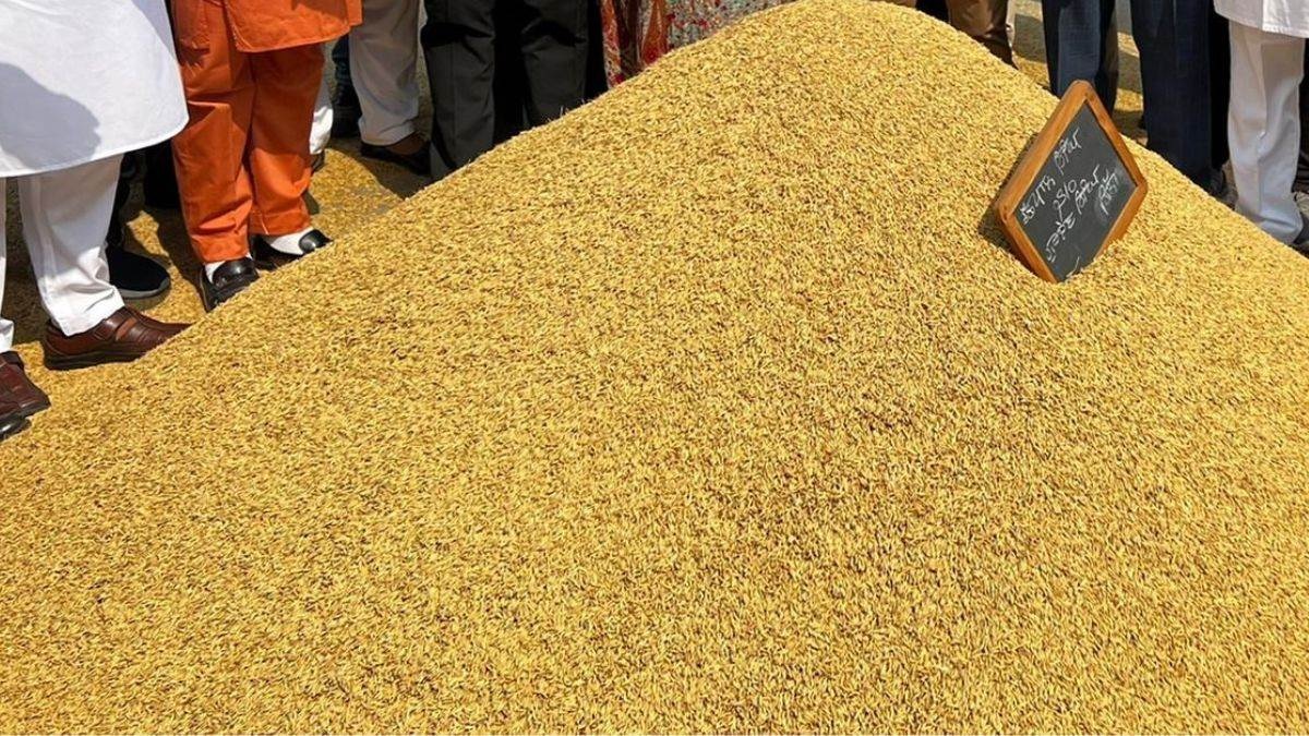 uttar pradesh rice productivity mou aims for 30 increase in 5 years