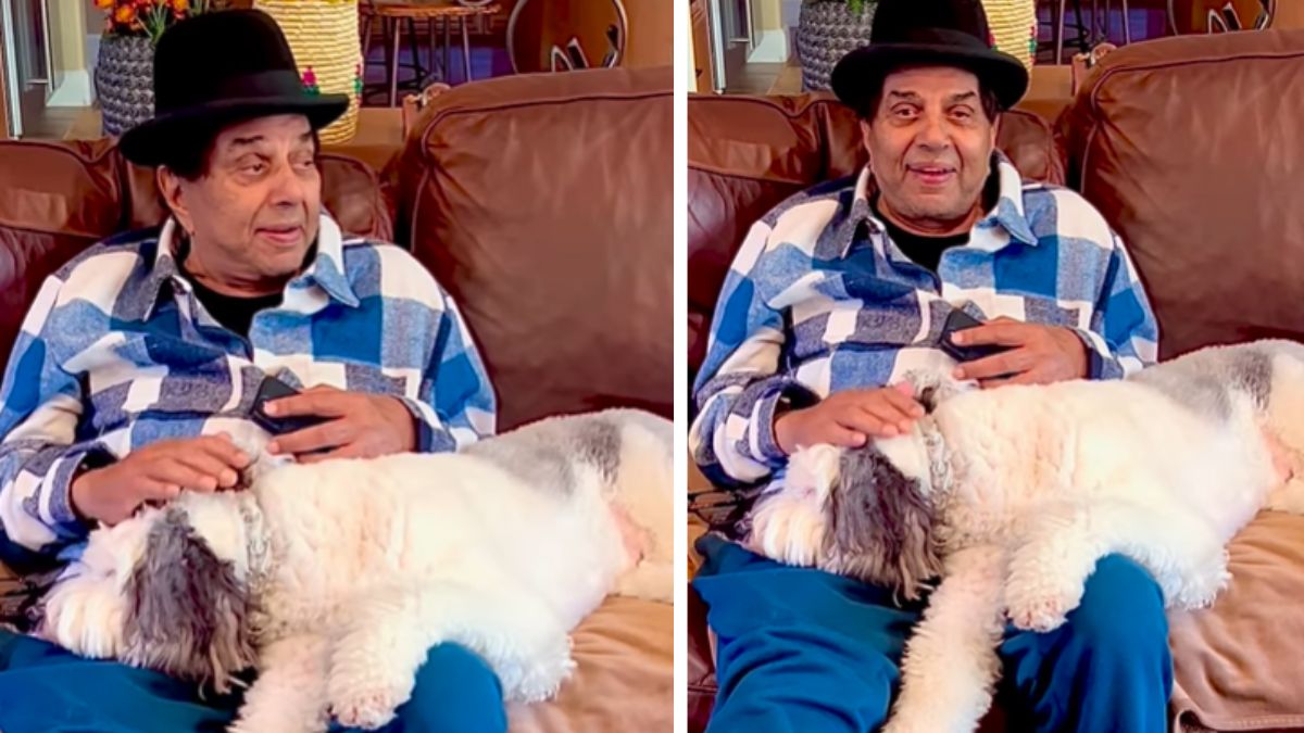 dharmendras old instagram post before admitted to breach candy gone viral making fans emotional