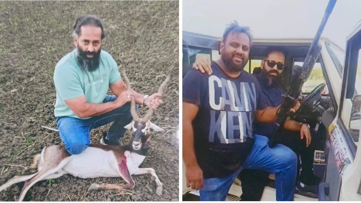 blackbuck poaching mp forest probe slow despite arrests