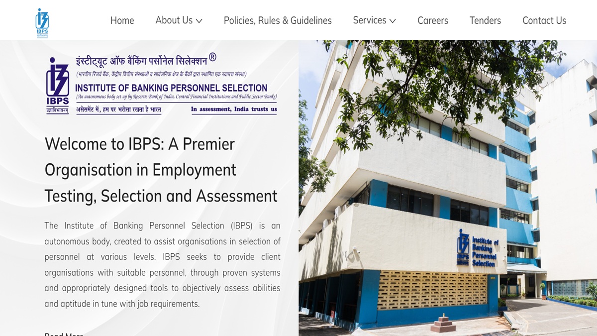 ibps clerk prelims result 2025 clerk prelims result released soon candidate can download the result from here