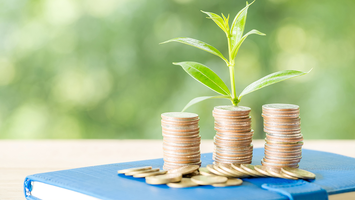 net asset value clarify your concept on it and it is role in mutual funds