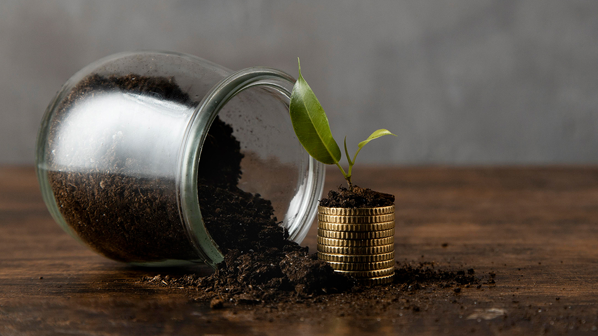 mutual funds are more than just equities experts explain in simple terms