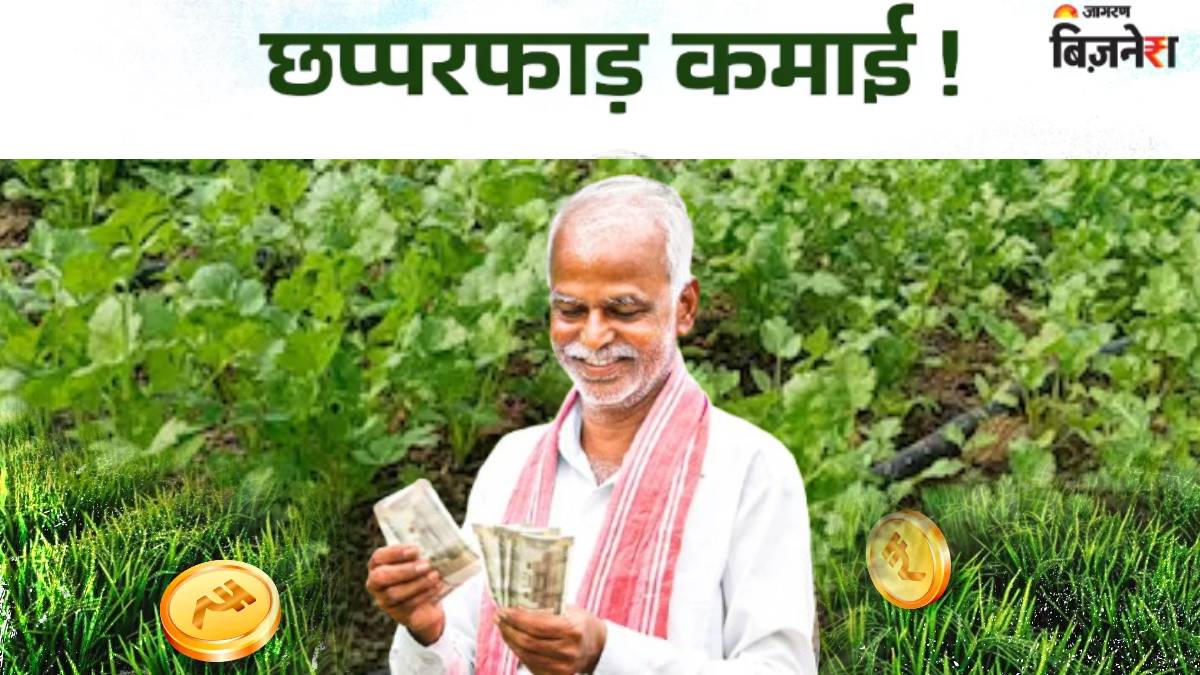 business idea cultivating this thing will earn you lakhs it brings fragrance to homes of adani and ambani