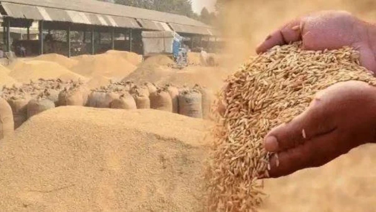 bihar pacs crisis dhan purchase faces hurdles due to payment delays