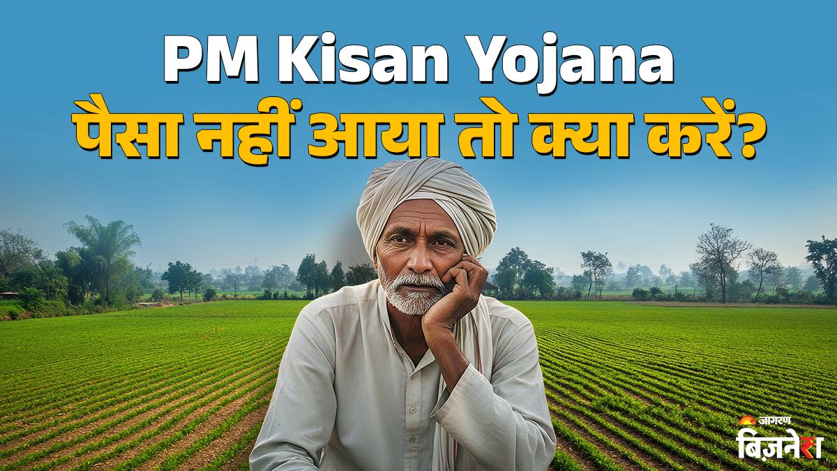 pm kisan yojana what to do if pm kisan yojana money not credited account do this immediately to get rs2000