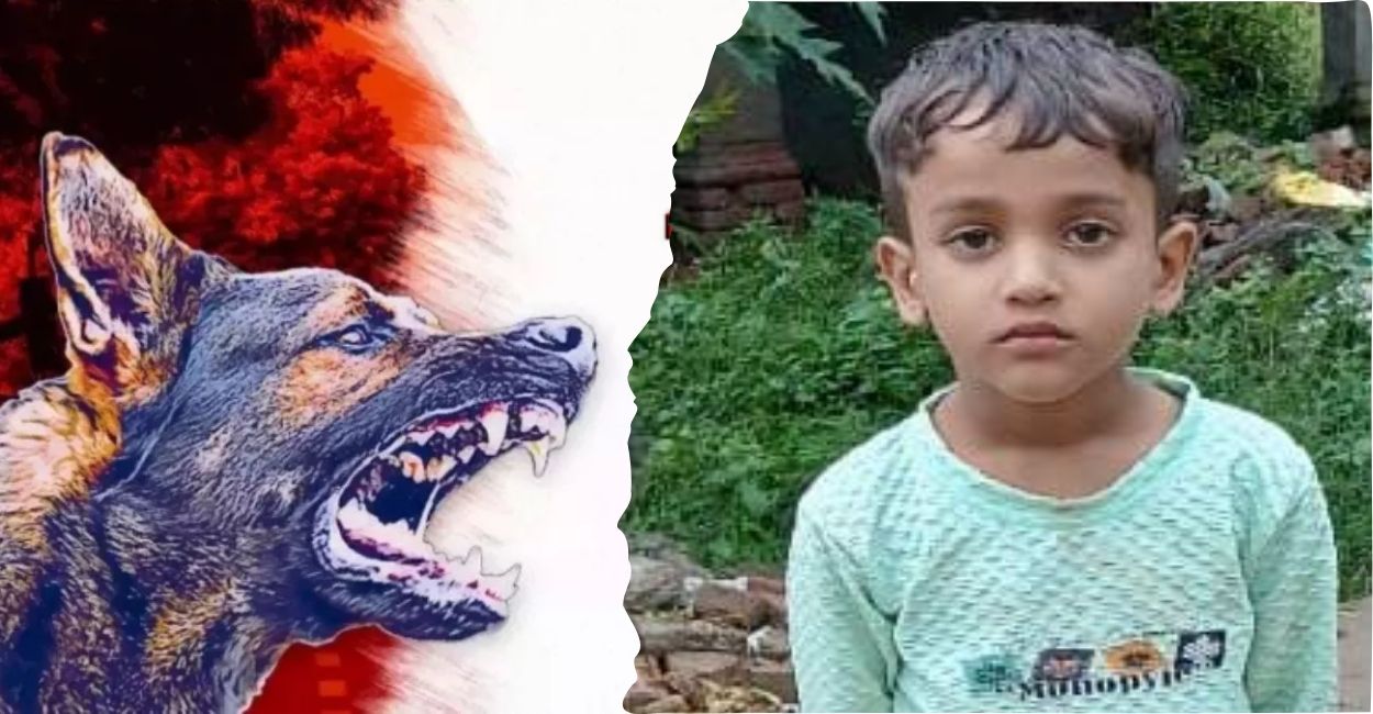 stray dog attack boy dies after dog bite in auriya
