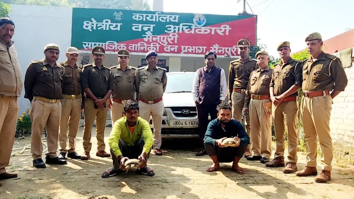 सेंट्रो की 5 बोरियों में भरे थे कछुए: UP से उत्तराखंड होनी थी तस्करी, दवा कंपनी में सप्लाई से पहले दबोचे दो तस्कर
