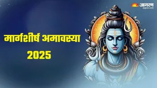 Margashirsha Amavasya 2025 Date: अगहन अमावस्या पर क्या करें और क्या न करें?