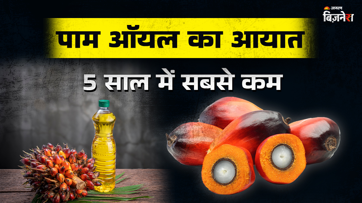 india palm oil imports fell 16 percent to a 5year low in october while soybean oil imports hit a record high