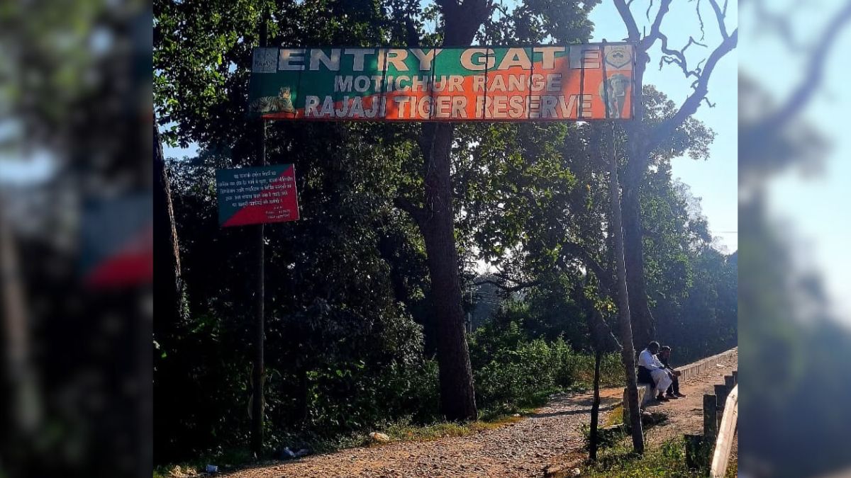 rajaji tiger reserve open soon plan your jungle safari adventure