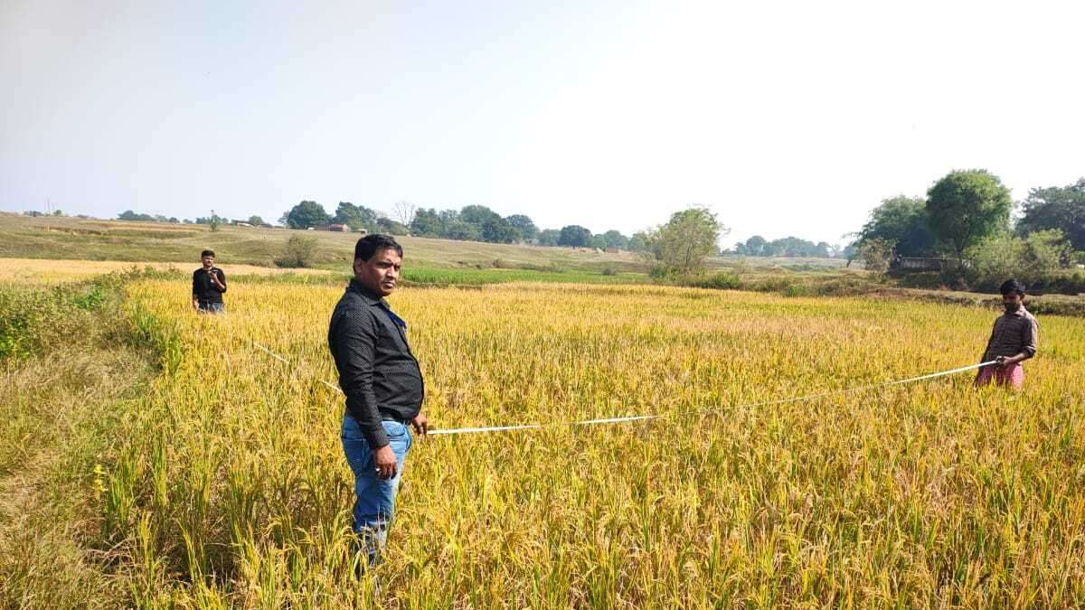 bihar elections farmers await results concerned about agriculture and governance