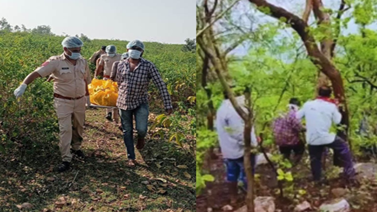 the bodies of a gujarati man and woman were found decomposed in a forest in banswara