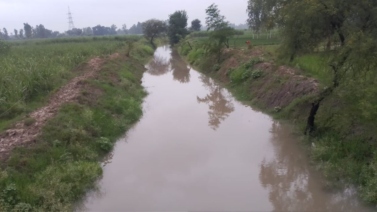mandaikini river rejuvenation reviving a dying river through pond restoration
