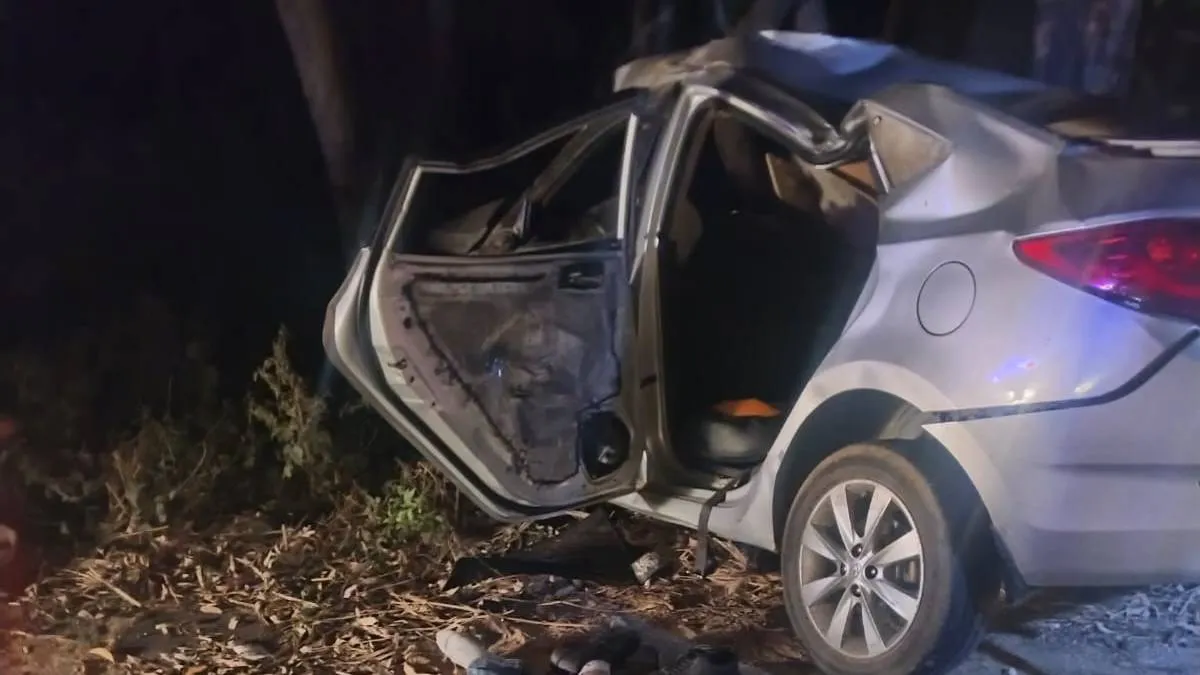 हरियाणा के यमुनानगर में तेज रफ्तार कार पेड़ से टकराई, बीजेपी नेता सहित दो घायल