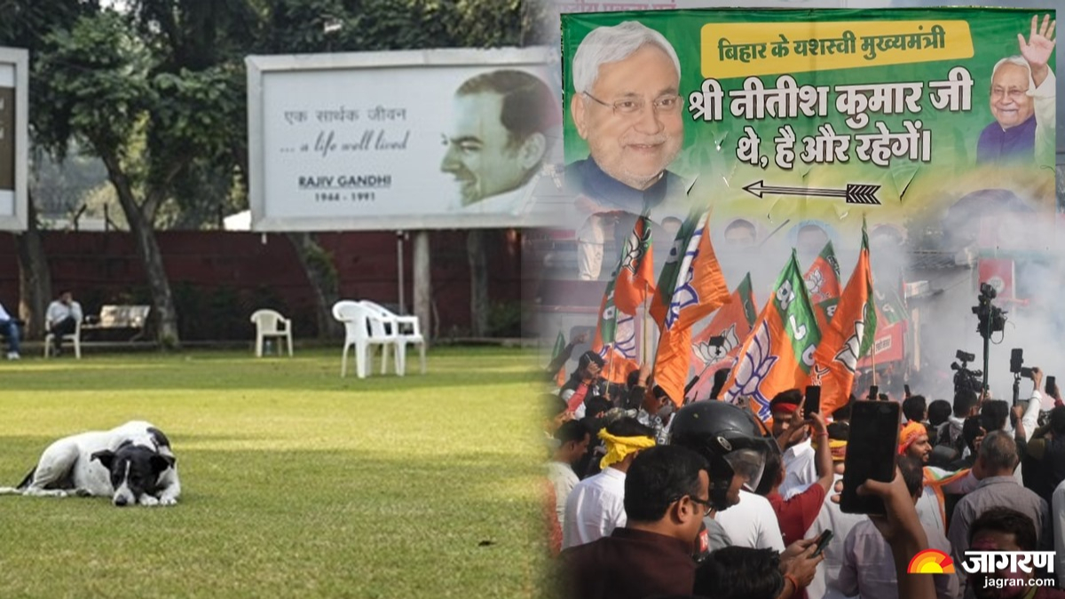 celebrations in bihar over nda landslide victory silence at congress headquarters see pictures