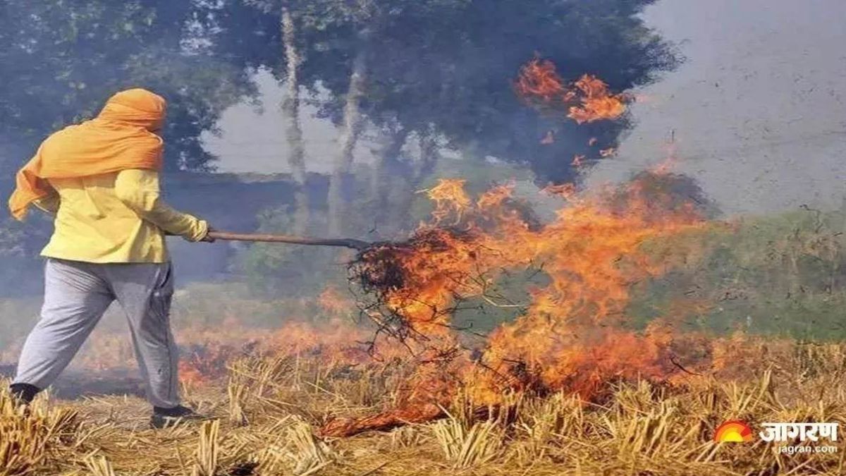 fazilka crackdown on stubble burning cases filed against farmers