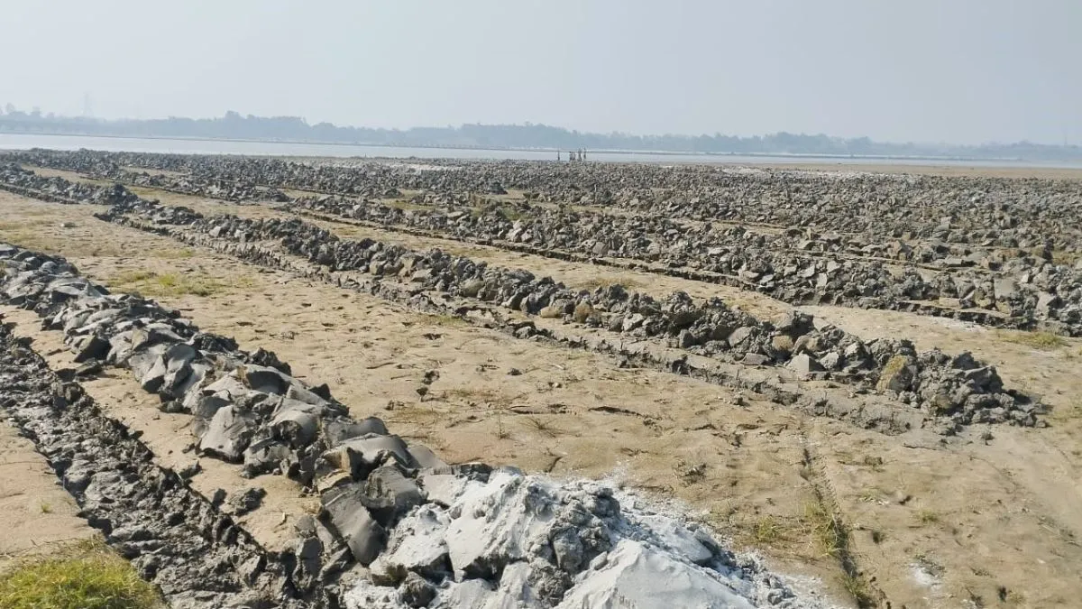 हसनपुर में गंगा किनारे सरकारी भूमि पर कब्जा कर उगाई जा रहीं फसलें, प्रशासन की नाकामी उजागर
