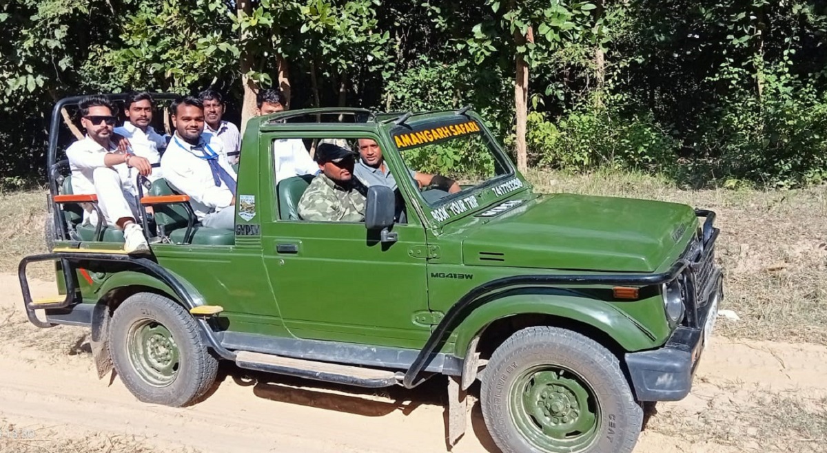 amangarh tiger reserve a haven for wildlife