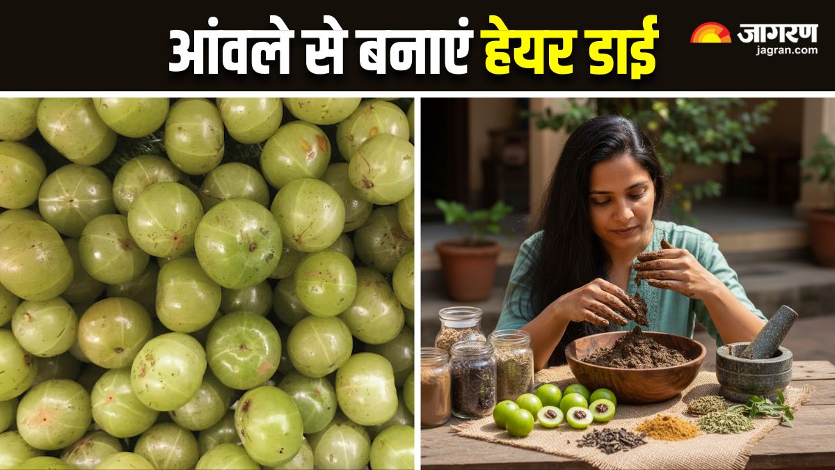 diy amla hair dye naturally turn white hair black
