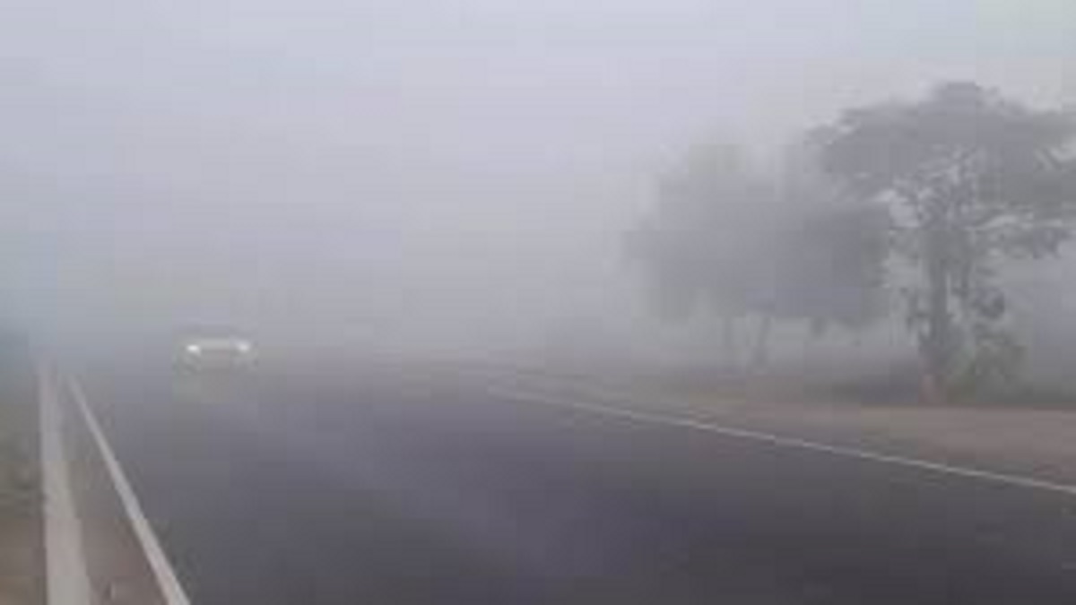 prayagraj weather update cold wave expected fog likely next week
