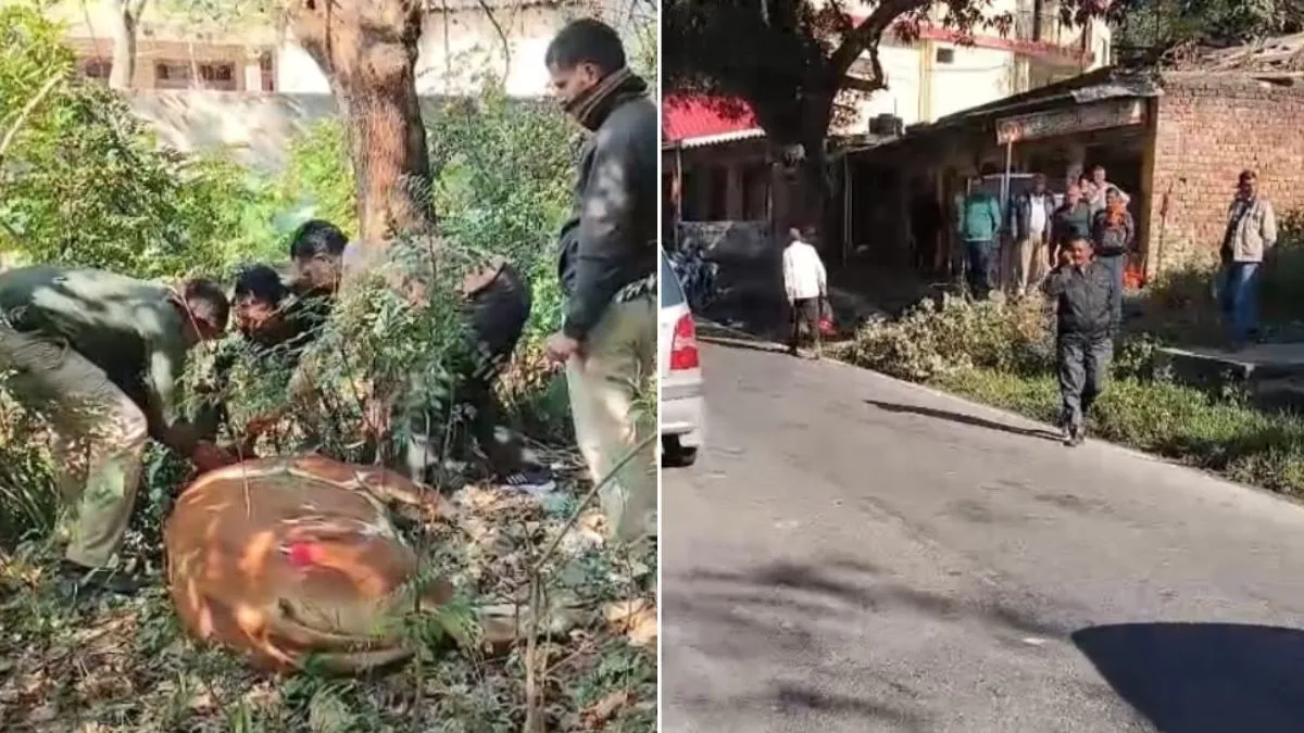 हिमाचल: सुजानपुर में पागल बैल ने दौड़ा-दौड़ा कर किया लोगों पर हमला, कड़ी मशक्कत के बाद काबू; प्रशासन ने दी चेतावनी
